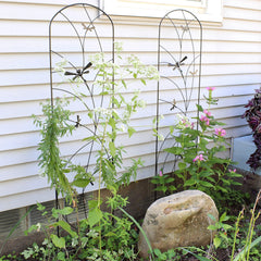 Sunnydaze trellis installed in a planter supporting climbing vines and saving ground space