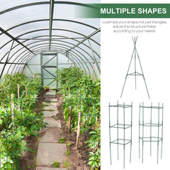 Sunnyray cage in use with tomato plant demonstrating tidy vertical growth benefit