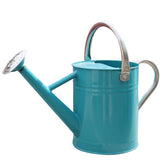SunnyTong front view of leaf green metal watering can showing shape and finish benefit: stylish durability