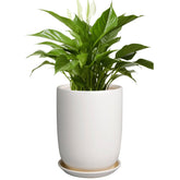 SUNPOTFOR front view of white ceramic planter showing clean modern design