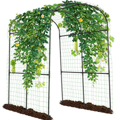 SUNYRISY front view of garden arch showing overall shape and entry benefit