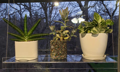 SUPREMETECH in-use image with two-tier plants demonstrating space-saving display