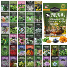 SURVIVAL GARDEN SEEDS front packaging showing the 36-variety herb kit and benefits