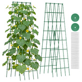 Suteck A-frame front view showing full trellis and benefits of vertical growth