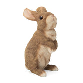 SUYNYBHF front view of rabbit statue showing lifelike detail and curb appeal