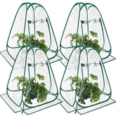 Suzile front view of four pop-up greenhouses protecting multiple plants, compact coverage benefit