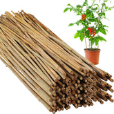 Suzile front packaging showing 100 bamboo stakes and product quantity benefit
