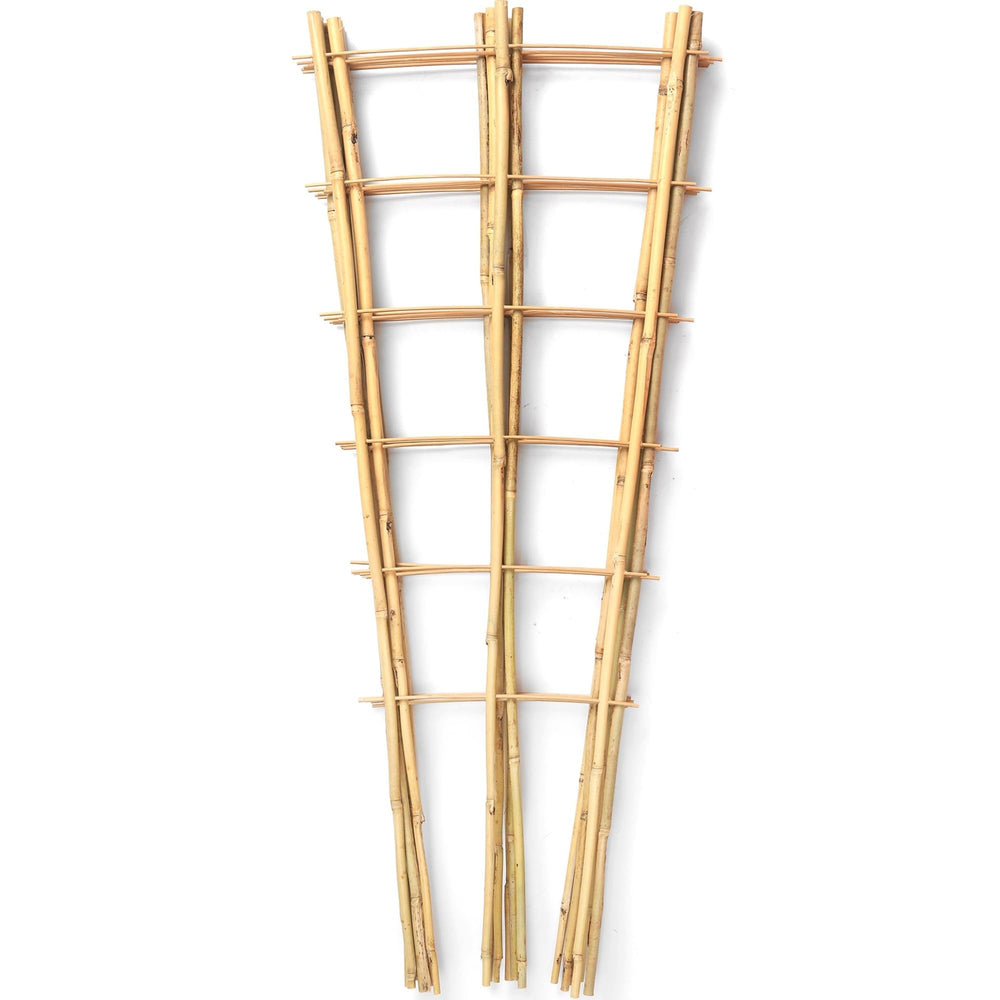 SWANGSA front view of five trellises showing compact packaging and ready-to-use support
