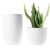 T4U front view showing six white self watering planters for coordinated decor