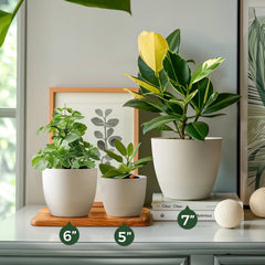 T4U side profile with a planted herb demonstrating stable root support