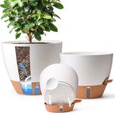 T4U front view of three white self watering pots showing tidy display and decor benefit