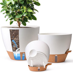 T4U front view of three white self watering pots showing tidy display and decor benefit