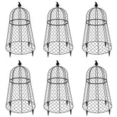 TAOMENNI front view of six cloches showing package and protective use