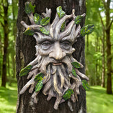 Teaeeno front view tree face showing whimsical bark detail and instant garden charm