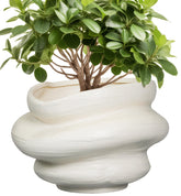 Teagas front view of white ceramic pot showcasing sculptural three-layer design and elegance