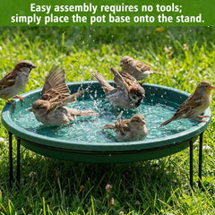 Teecyhooo bird bath placed in garden offering birds accessible water