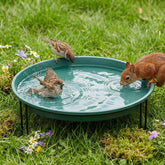 Teecyhooo front view of green bird bath showing stable design and garden appeal