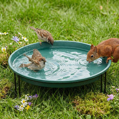 Teecyhooo front view of green bird bath showing stable design and garden appeal