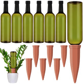 Teenyyou front view of complete 12-piece watering kit showing bottles and terracotta