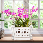 Teenyyou front view of white 7-inch ceramic orchid pot showing clean lines and elegant look