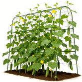 Tegarbed trellis front view showing U-shape and sturdy arch support benefits