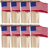 Tegeme front packaging showing 225 mini flags for easy event supply