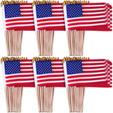 Tegeme front packaging showing 320 mini flags, ready for events