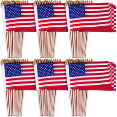 Tegeme front packaging showing 320 mini flags, ready for events