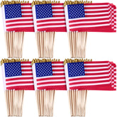 Tegeme front view of 80 mini American flags showing patriotic display and easy distribution