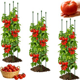 TESSTSY front view of three-pack cages showing size and packaging benefit