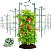 Thealyn front view of six-pack cages showing ready-to-use support