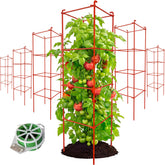 Thealyn 6-pack front view showing all metal tomato cages, sturdy garden support