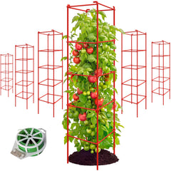 Thealyn front view of 57in cage showing stable support for plants