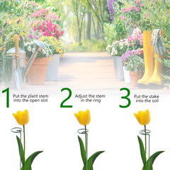 Thealyn in use with a tomato plant offering upright support and reduced bending
