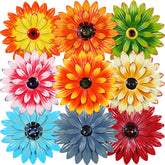Therwen front view of nine colorful daisies showing vibrant outdoor decor