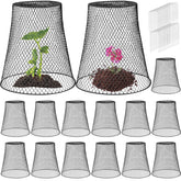 Therwen front view of black metal cloche protecting young plants, clear protection