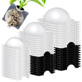 Threehoney front packaging showing 30 pods and kit contents for convenient propagation