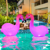 TIALLY pink flamingo front view showing bright colors and flotation for pool ambiance