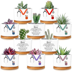 Tiangrid front packaging view showing ten ceramic nurse pots and trays, ideal for gifting