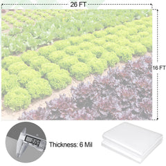 ToLanbbt close-up of polyethylene texture highlighting puncture resistance