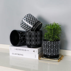 Ton Sin planter with succulent in a living room showing decorative and functional use