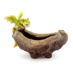 Top Collection Rex front view showing dragon planter and cheerful design benefit: decorative focal point