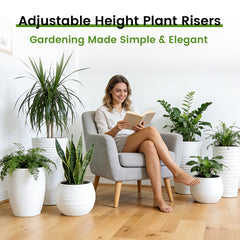 Topfurn riser in living room with plant showing improved display and lighter planter