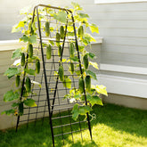 Topyznsup front view A-frame trellis showing sturdy support and neat grid