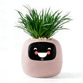 TPHRAVAL front view of pink smart planter showing friendly shape and decor benefit