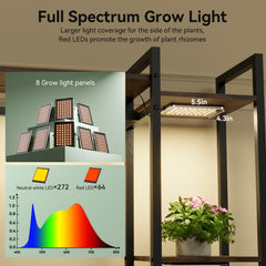 TQFLXUJO stand assembled in a room corner, space-saving display benefit