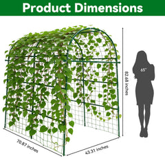 Trellume trellis supporting climbing vines demonstrating productive vertical growth