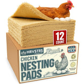 Trendiees front packaging showing 12-pack and product benefits