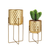 TRIROCKS front view of gold planter duo showing elegant modern display