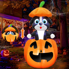 TURNMEON front view of dog-in-pumpkin inflatable showing festive impact